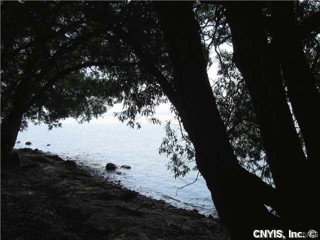 20509 South Shore Road Lyme, NY 13693 - Photo 1 of 1 Land