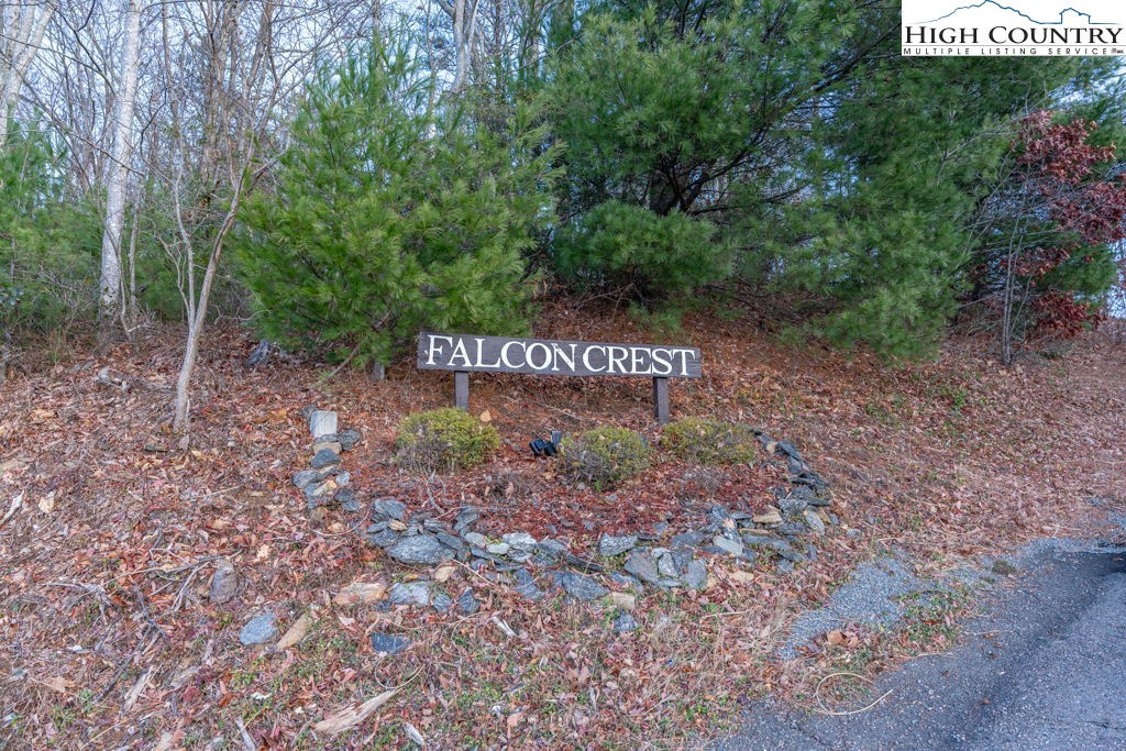 Falcon Ridge Road Lenoir, NC 28645 - Photo 3 of 20 Gallery Image 3