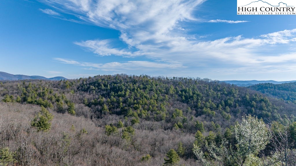 Falcon Ridge Road Lenoir, NC 28645 - Photo 10 of 20 Gallery Image 10