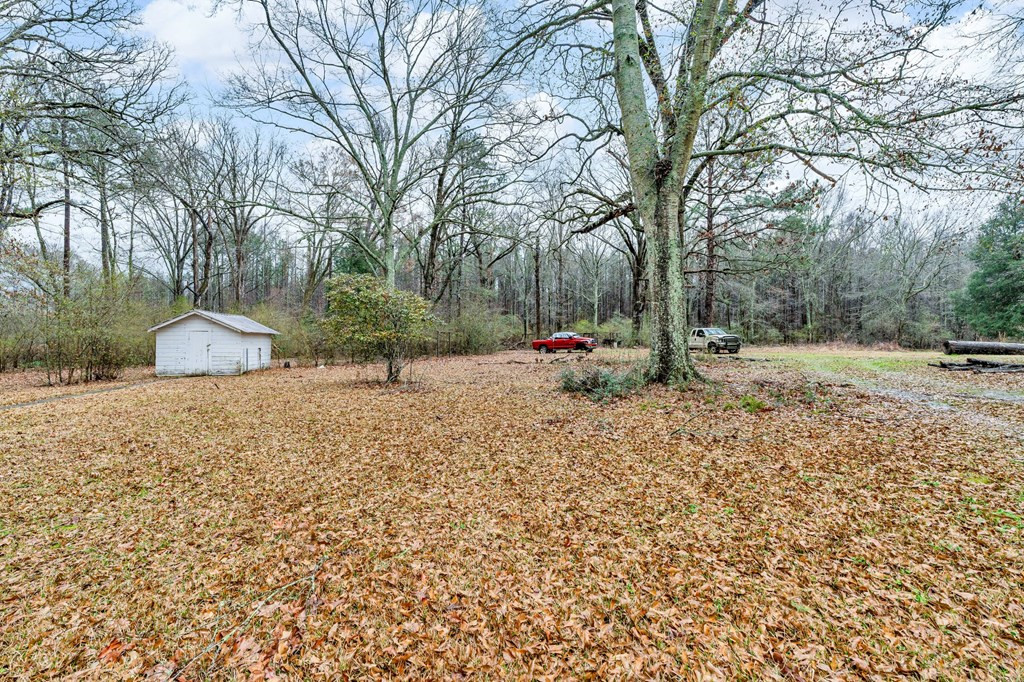 1881 Bogue Chitto Road Southwest Smithdale, MS 39664 - Photo 6 of 24 Photo 6