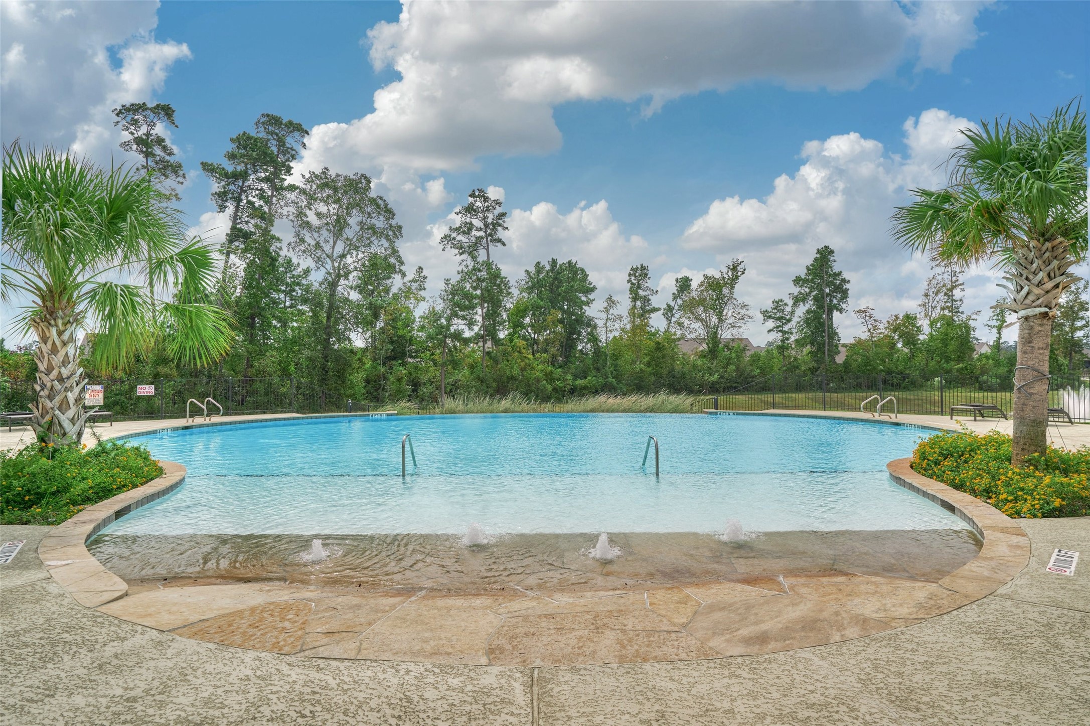 108 Wild Wick Way Spring, TX 77382 - Photo 41 of 44 Here Is The Outdoor Pool To Enjoy Along With An Outdoor Spa!