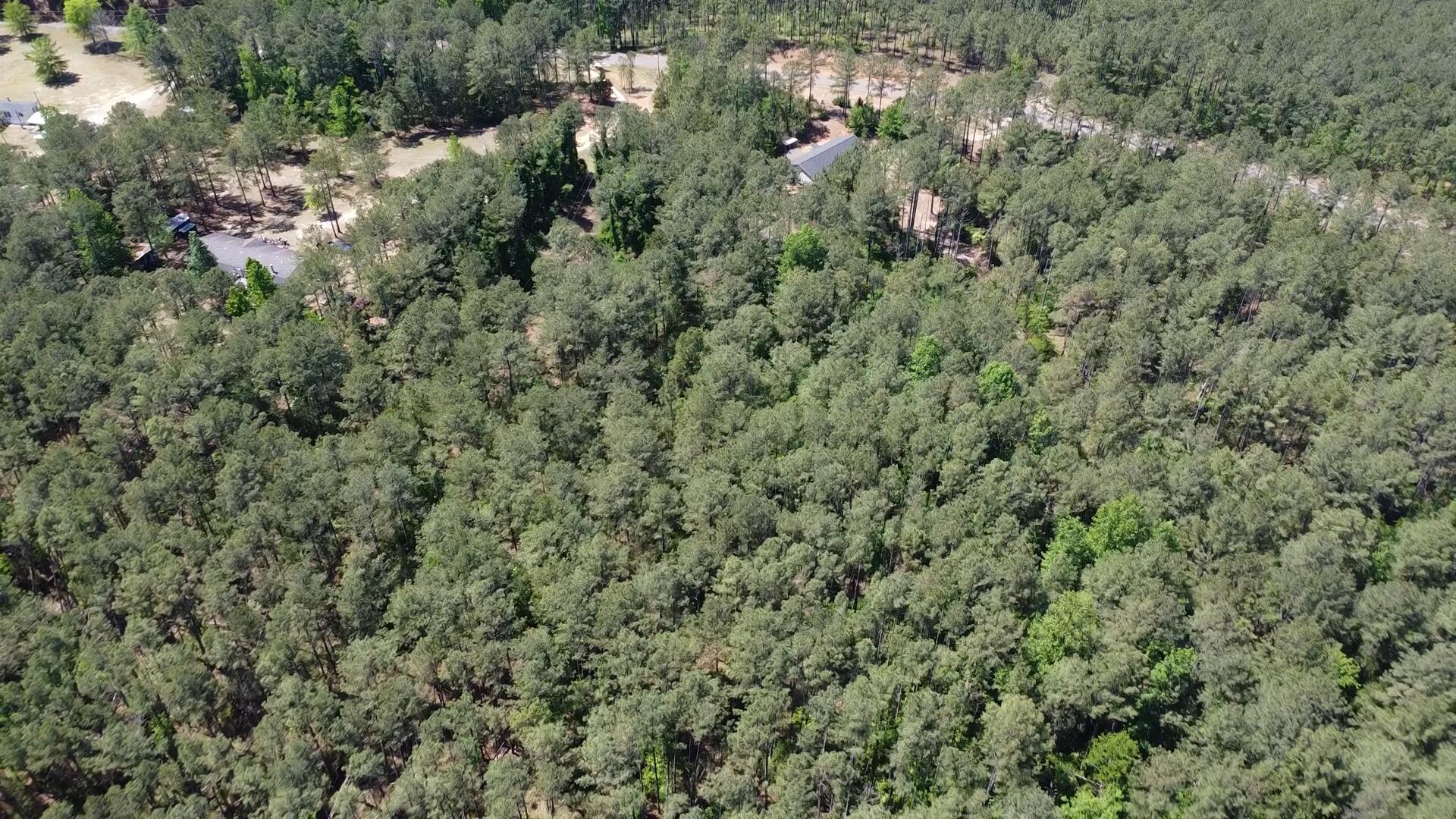 1405 Garrett Road Clarks Hill, SC 29821 - Photo 44 of 51 an aerial view of residential house with outdoor space and trees