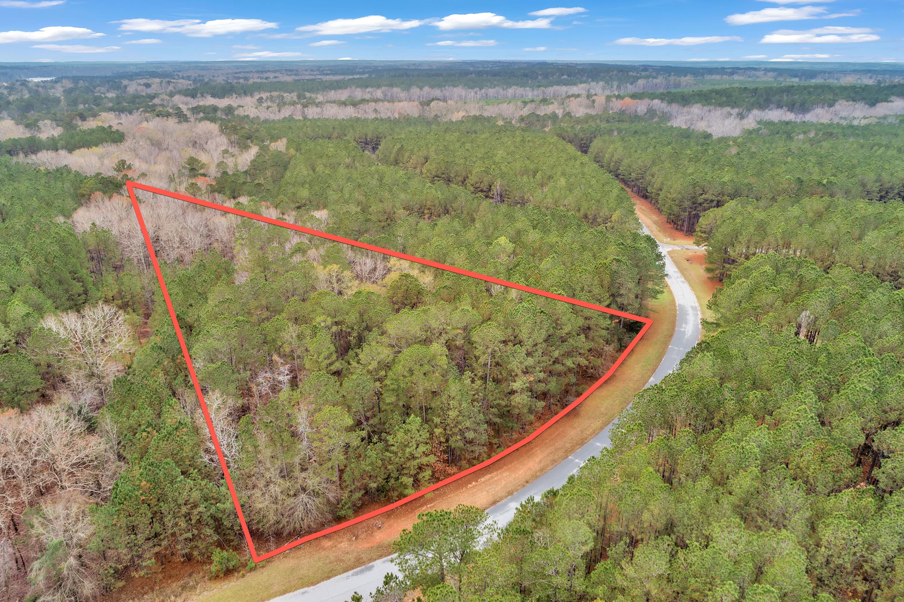 1252 Rogers Road Tignall, GA 30668 - Photo 11 of 29 1252 Rogers Rd, 200ft View, Drone-2-Lot