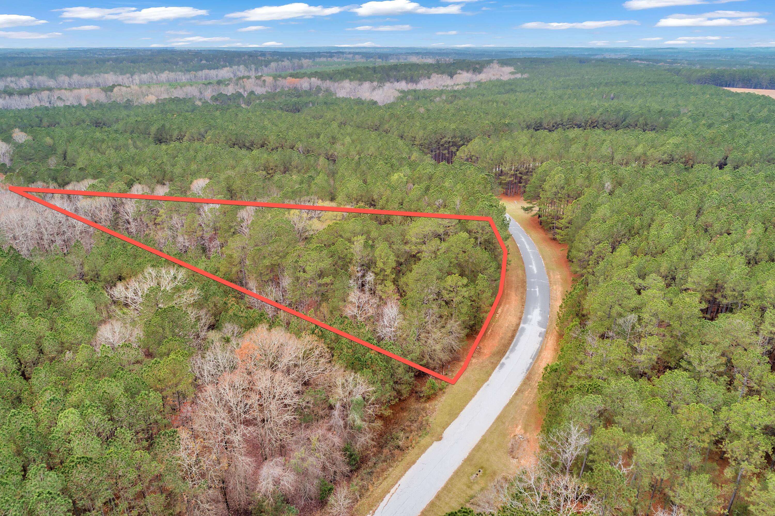 1252 Rogers Road Tignall, GA 30668 - Photo 12 of 29 1252 Rogers Rd, 200ft View, Drone-3-Lot