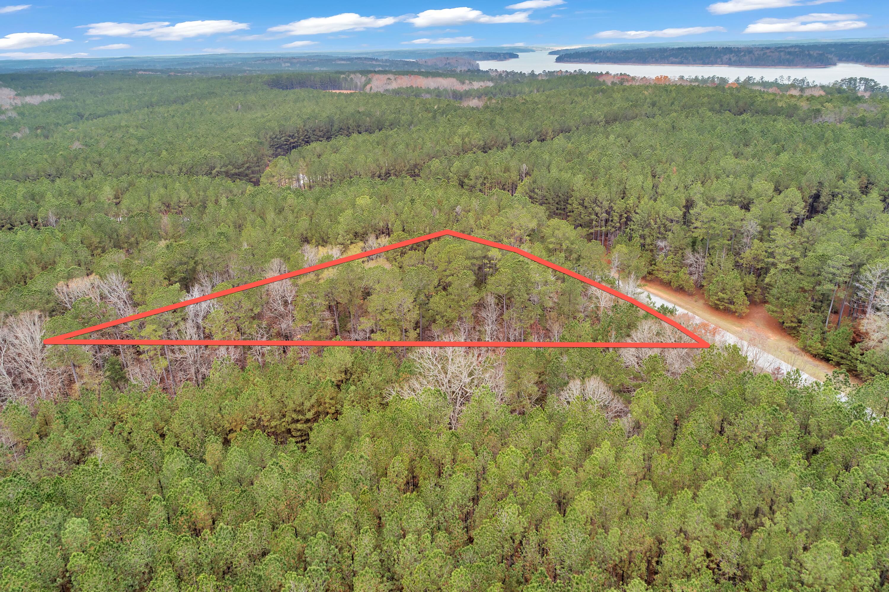 1252 Rogers Road Tignall, GA 30668 - Photo 13 of 29 1252 Rogers Rd, 200ft View, Drone-4-Lot