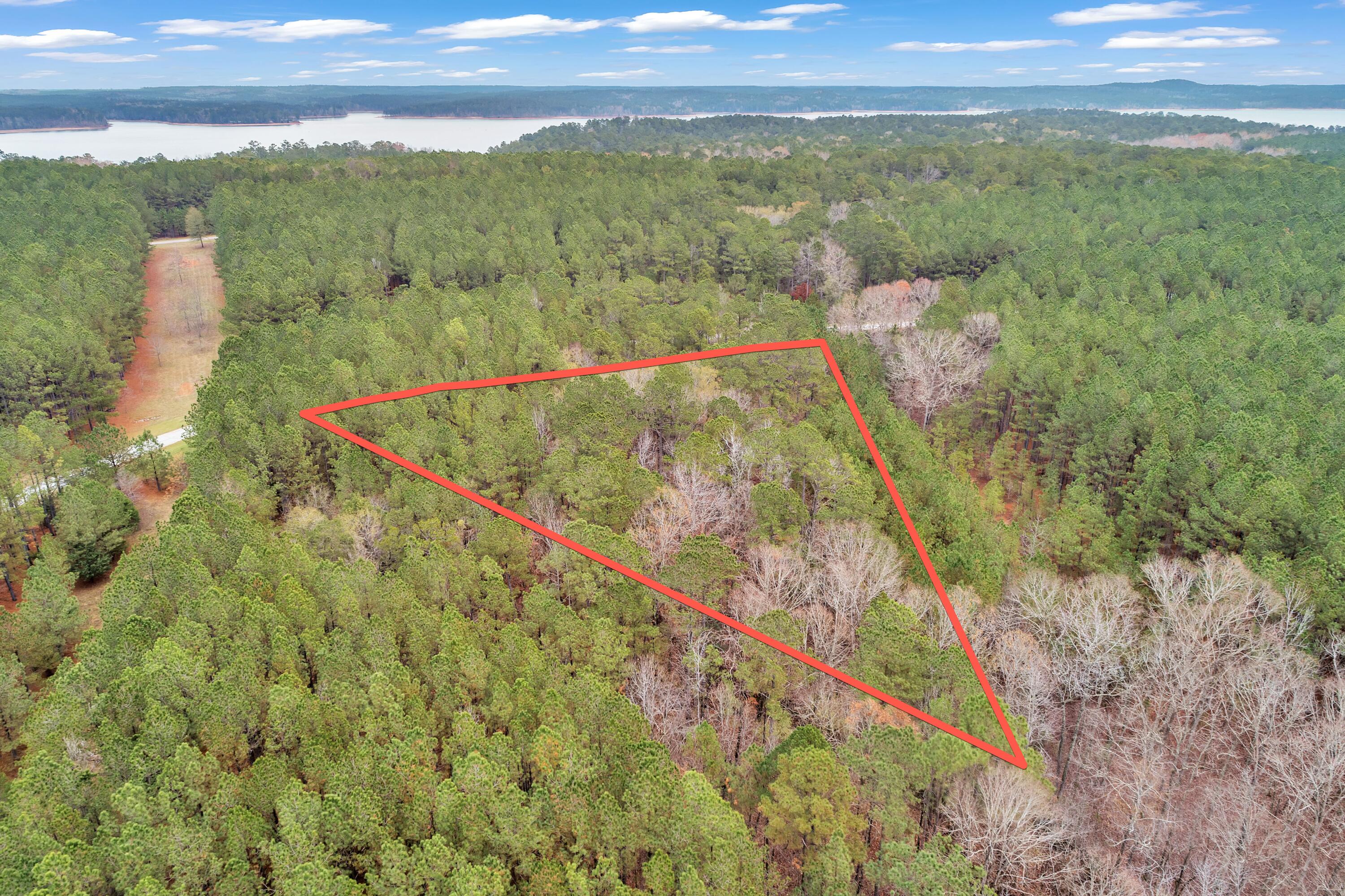 1252 Rogers Road Tignall, GA 30668 - Photo 15 of 29 1252 Rogers Rd, 200ft View, Drone-6-Lot