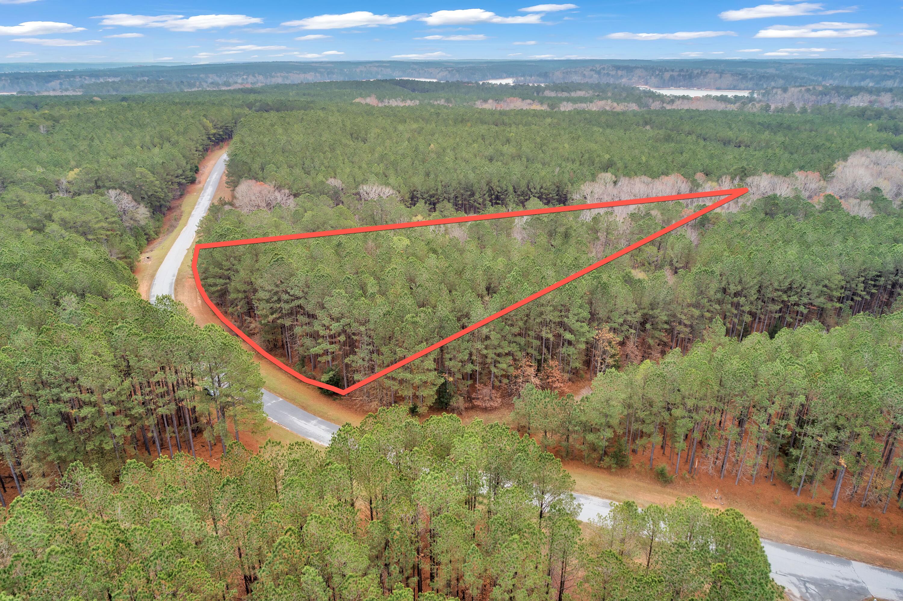 1252 Rogers Road Tignall, GA 30668 - Photo 17 of 29 1252 Rogers Rd, 200ft View, Drone-8-Lot