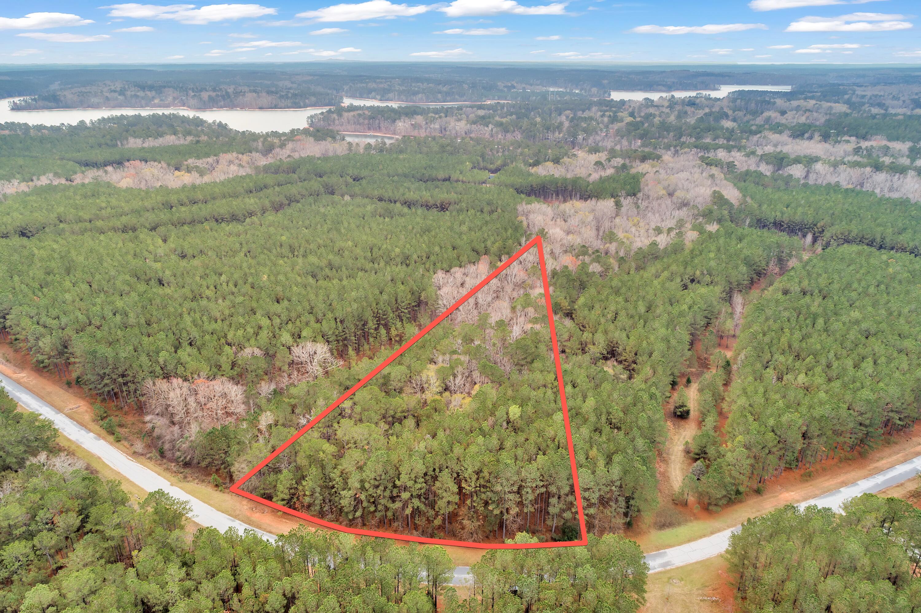 1252 Rogers Road Tignall, GA 30668 - Photo 18 of 29 1252 Rogers Rd, 400ft View, Drone-1-Lot