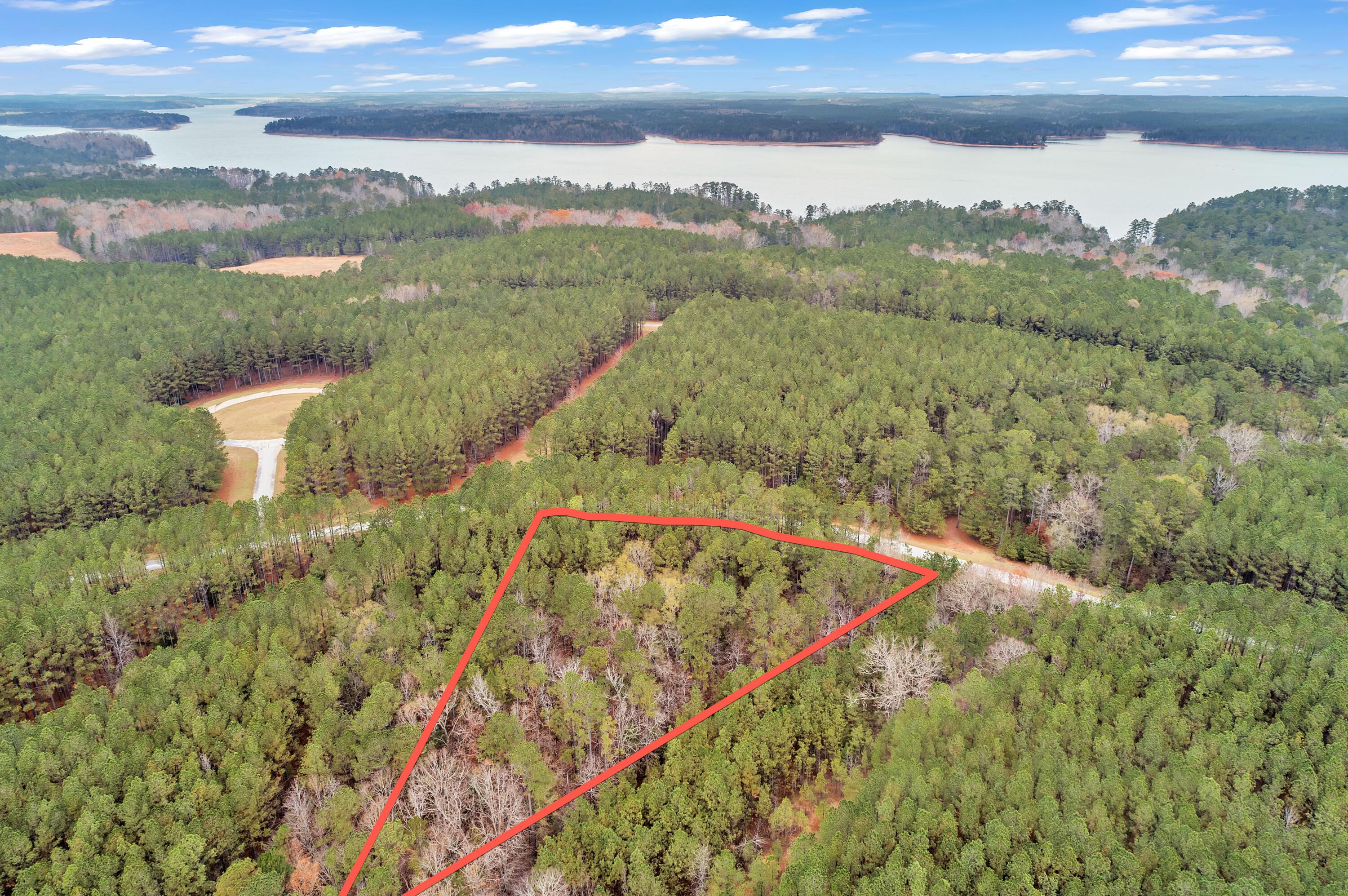 1252 Rogers Road Tignall, GA 30668 - Photo 20 of 29 1252 Rogers Rd, 400ft View, Drone-3-Lot