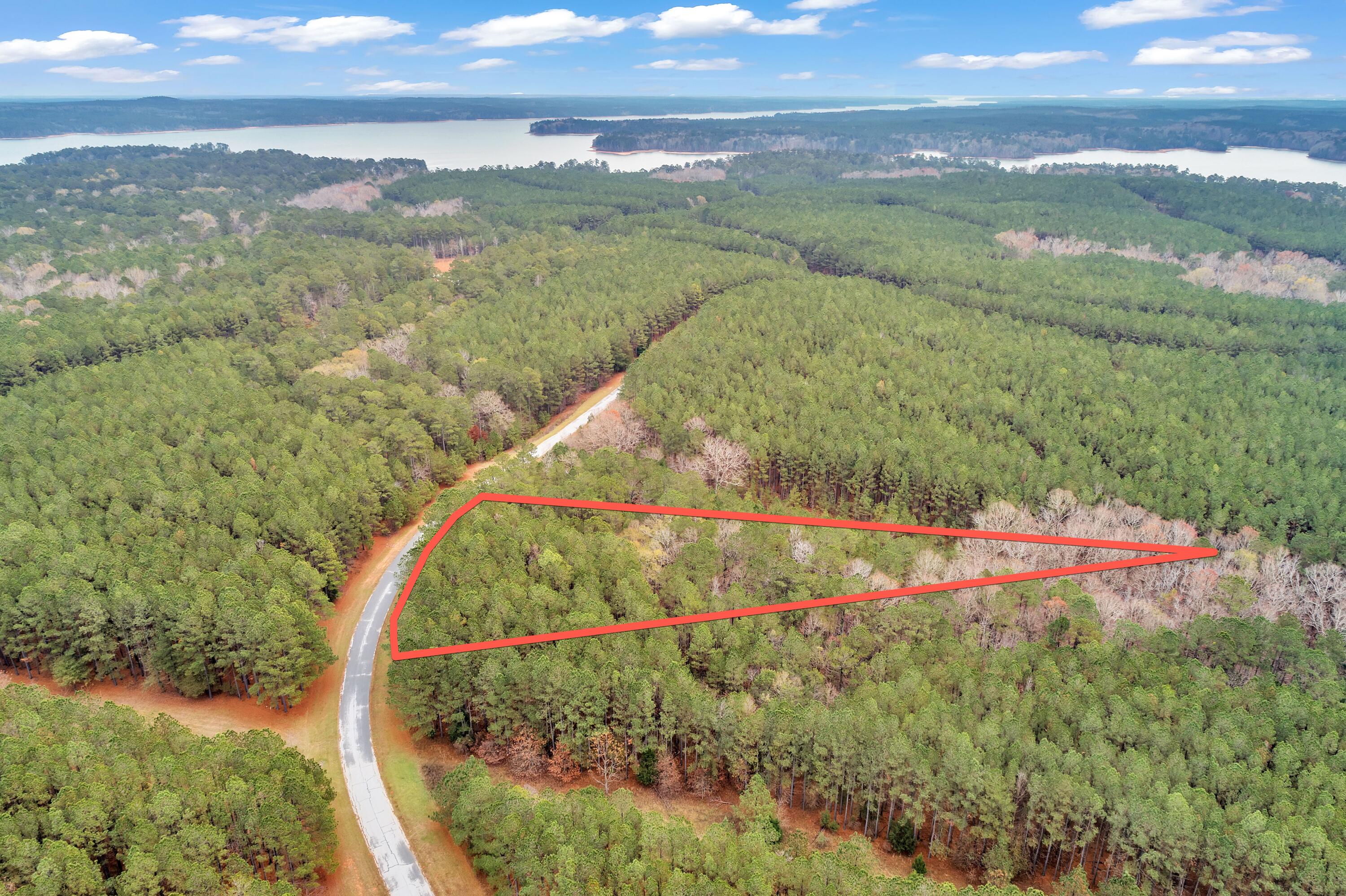 1252 Rogers Road Tignall, GA 30668 - Photo 21 of 29 1252 Rogers Rd, 400ft View, Drone-4-Lot