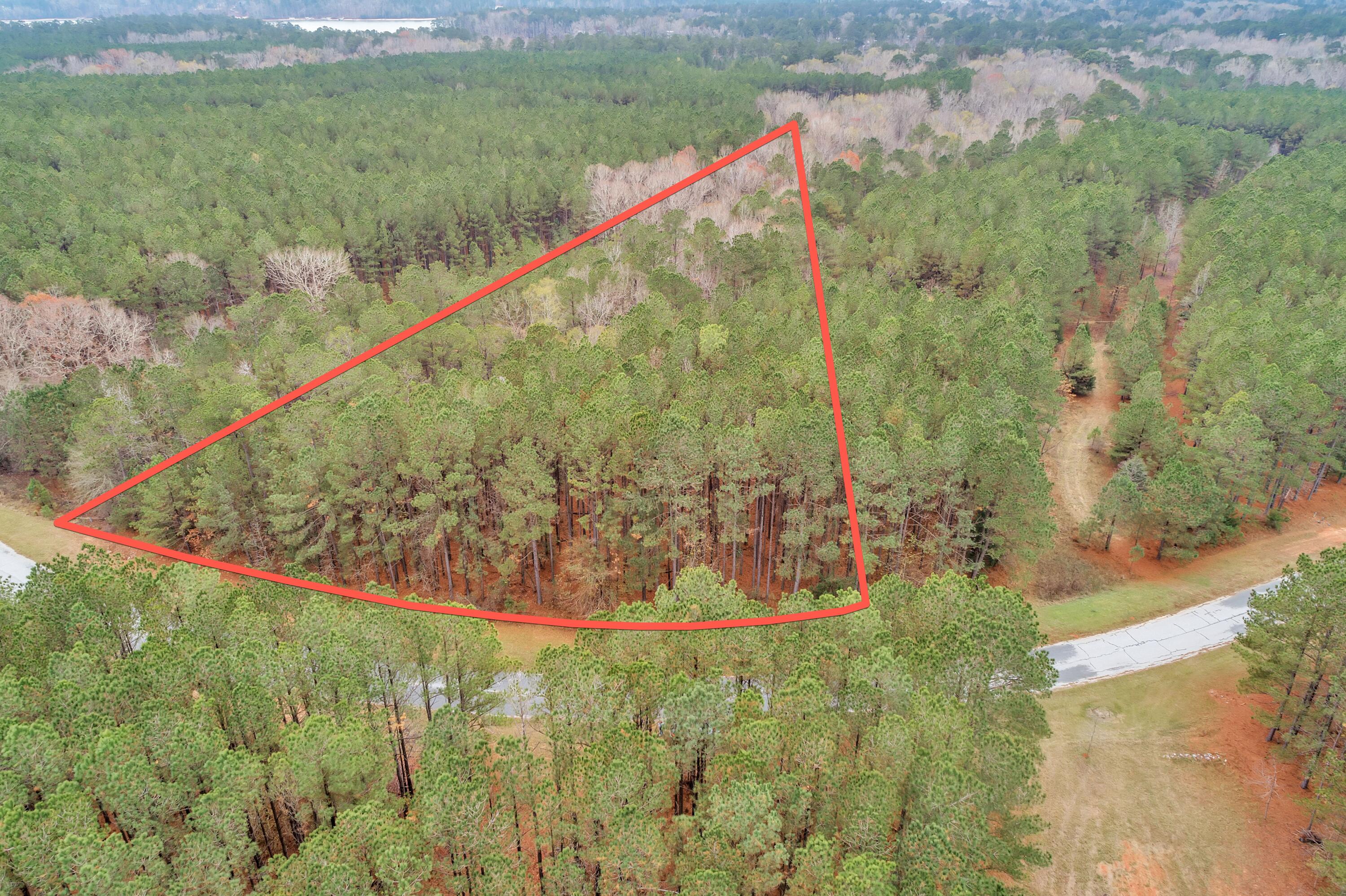 1252 Rogers Road Tignall, GA 30668 - Photo 22 of 29 1252 Rogers Rd, Lot View-1-Lot Lines