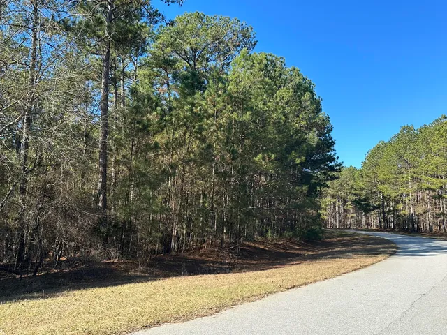 $14,000 | 1252 Rogers Road, Tignall, GA 30668