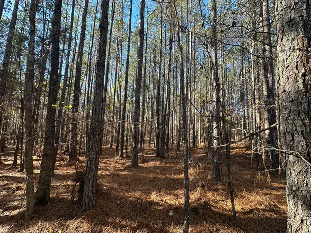 $14,000 | 1252 Rogers Road, Tignall, GA 30668