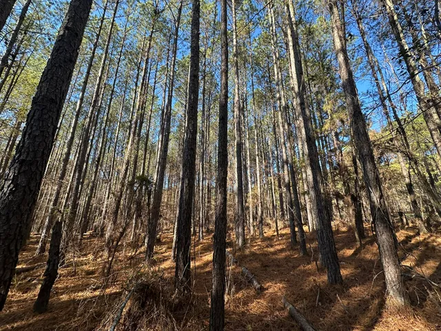 $14,000 | 1252 Rogers Road, Tignall, GA 30668