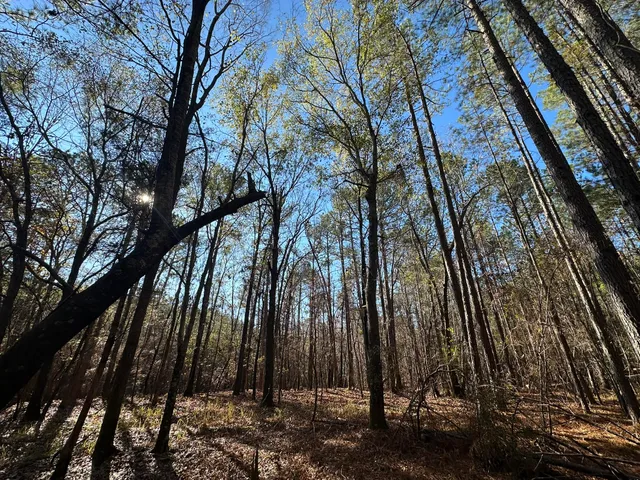 $14,000 | 1252 Rogers Road, Tignall, GA 30668