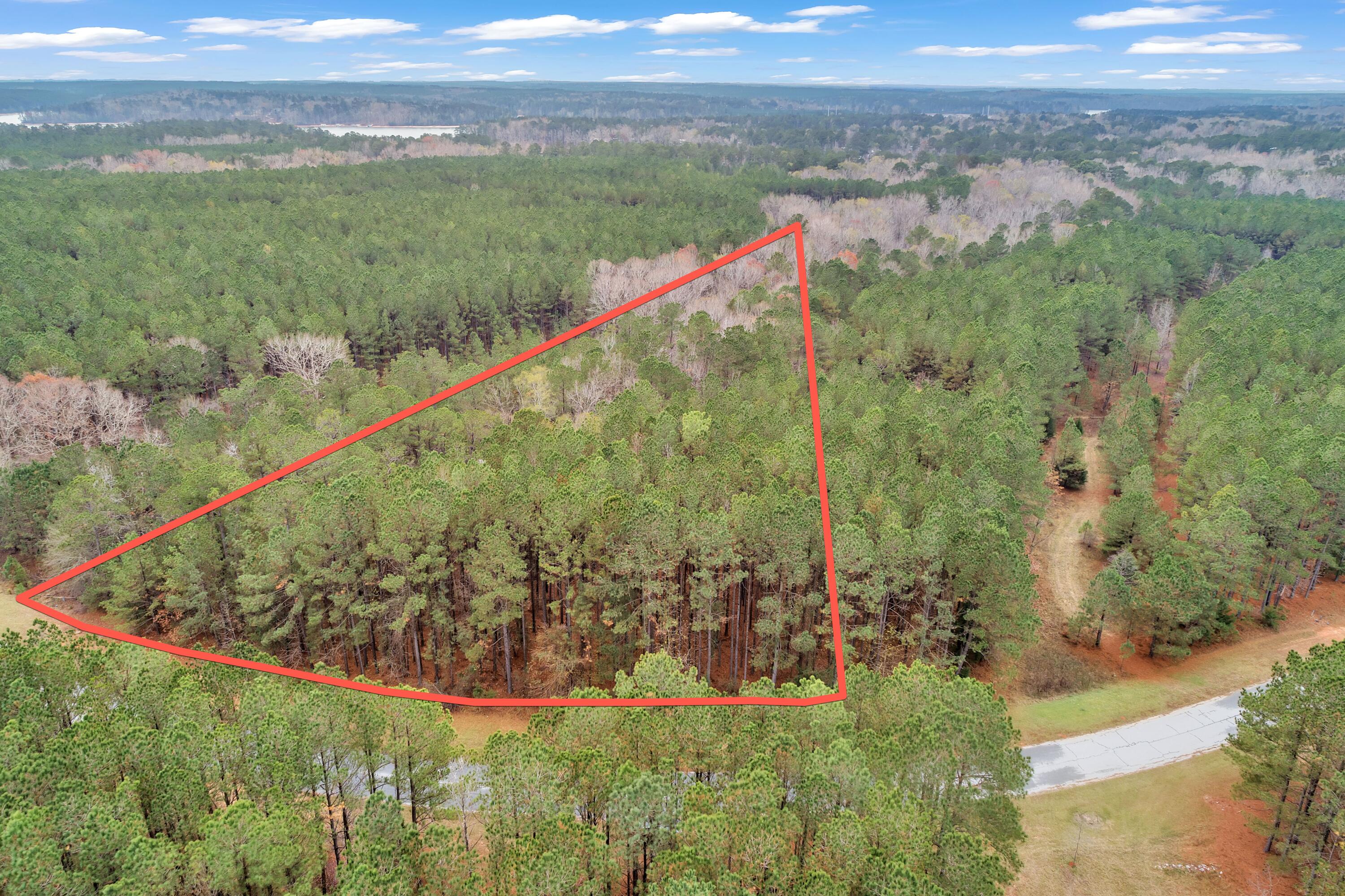 1252 Rogers Road Tignall, GA 30668 - Photo 10 of 29 1252 Rogers Rd, 200ft View, Drone-1-Lot