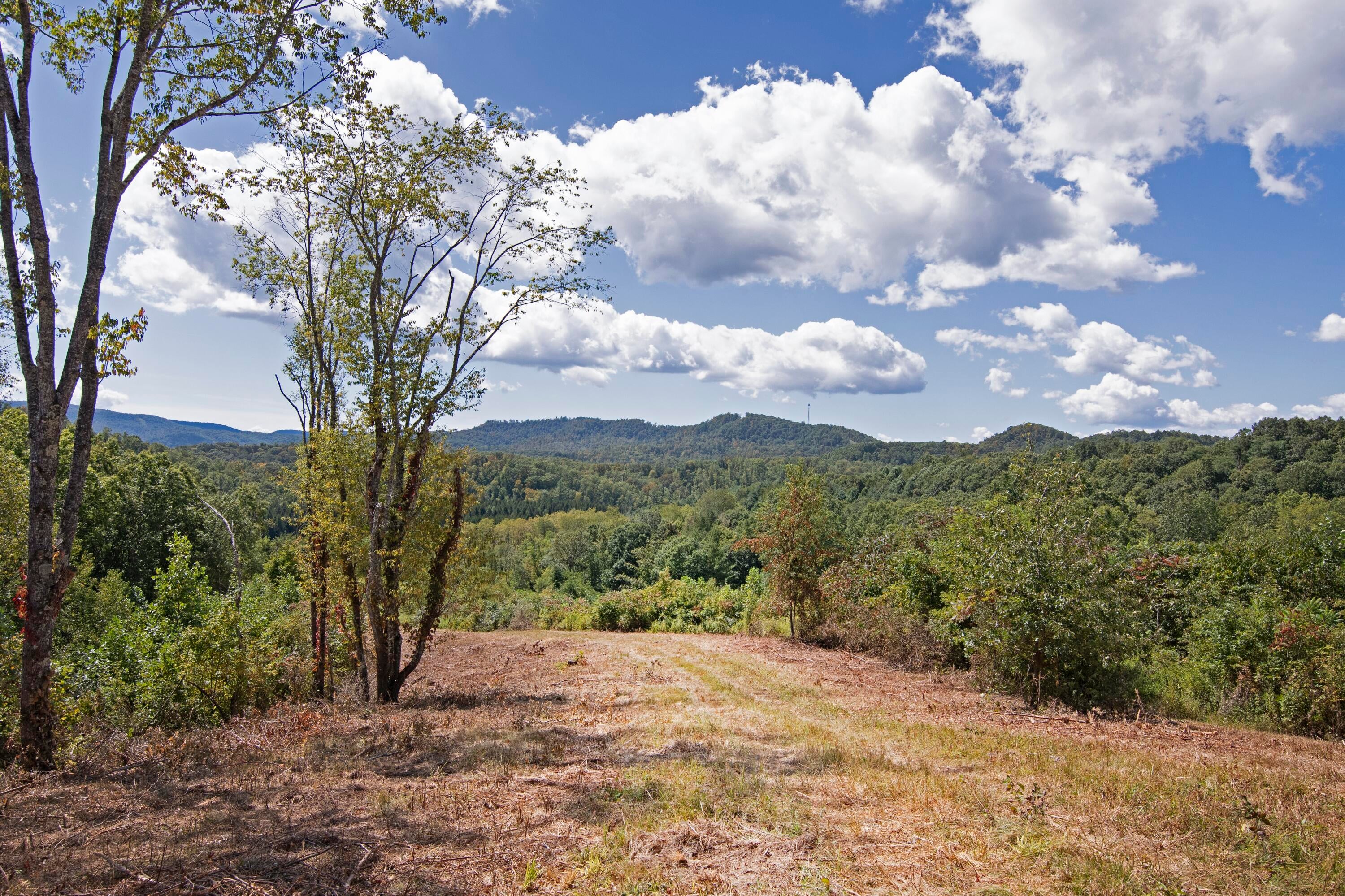 2561 Morris Branch Road Meadow Bridge, WV 25976 - Photo 25 of 55 From the top