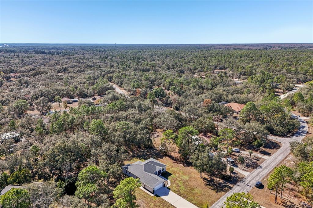 11112 Rostock Road Weeki Wachee, FL 34614 - Photo 50 of 66