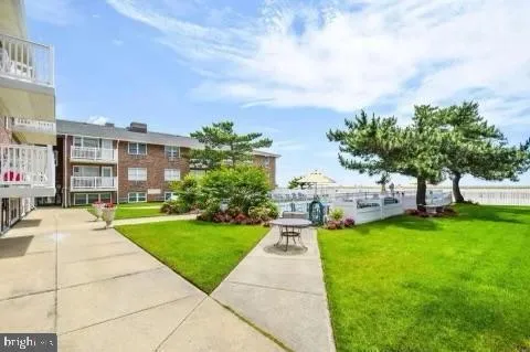 a view of a backyard with a garden and plants