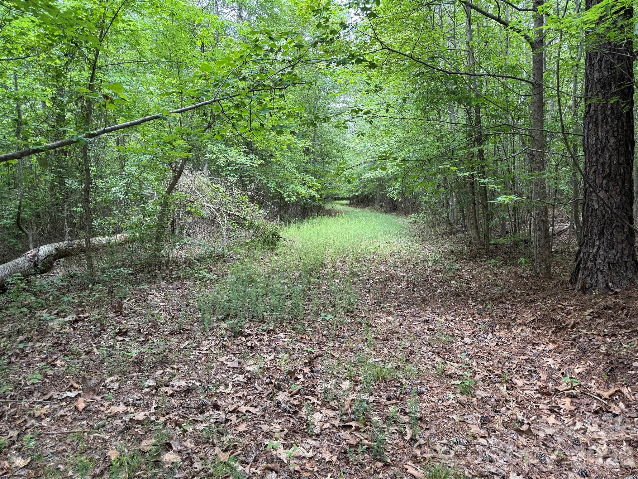 0 Herbert Faucette Road Bullock, NC 27507 - Photo 27 of 40