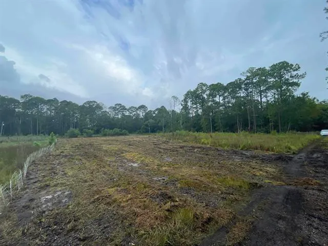 a view of an outdoor space and a yard