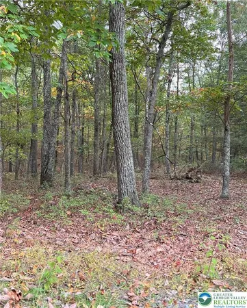 $20,000 | 289 Forest Drive, Canadensis, PA 18325
