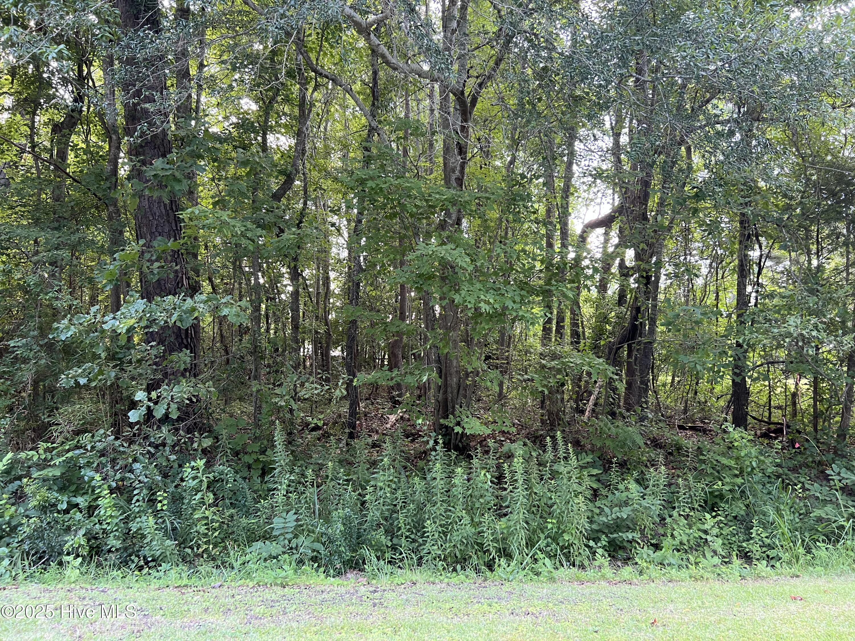 104 Colony Drive Edenton, NC 27932 - Photo 1 of 3 Lot