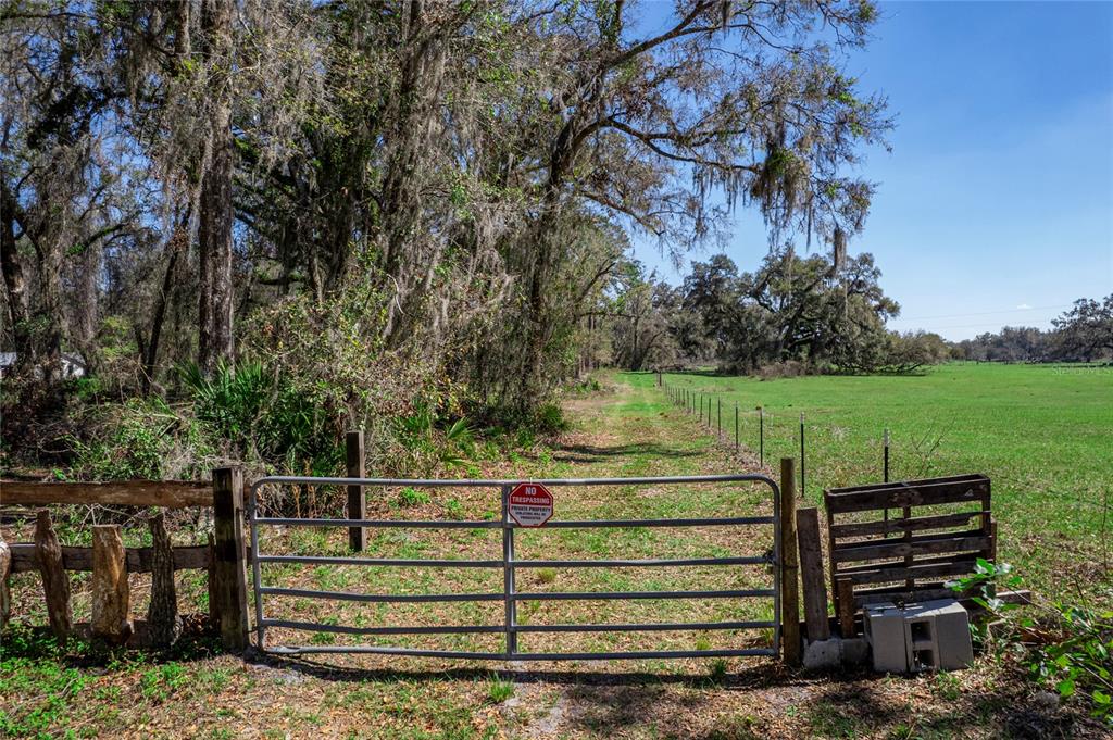 301 South St Webster Webster, FL 33597 - Photo 2 of 12