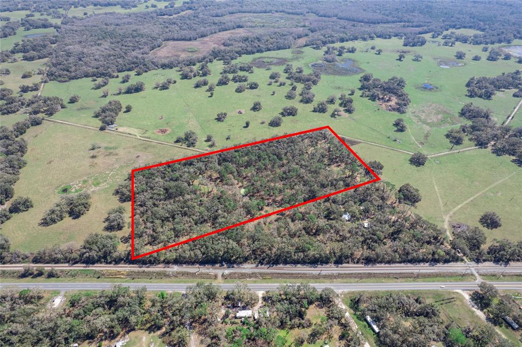 301 South St Webster Webster, FL 33597 - Photo 5 of 12 a view of a park with large trees