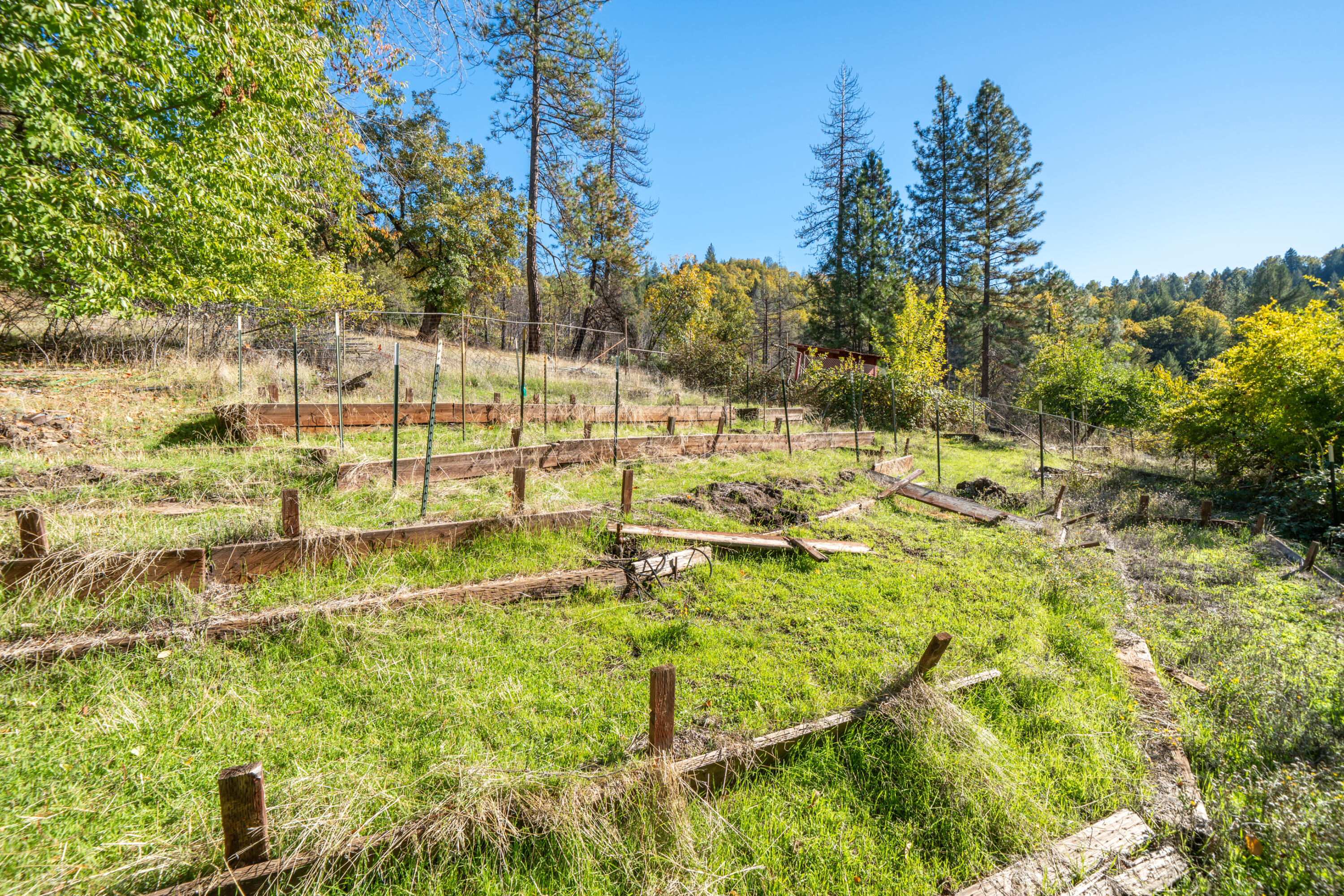 20389 Our Road Lakehead, CA 96051 - Photo 18 of 92 TERRACED GARDEN AREA