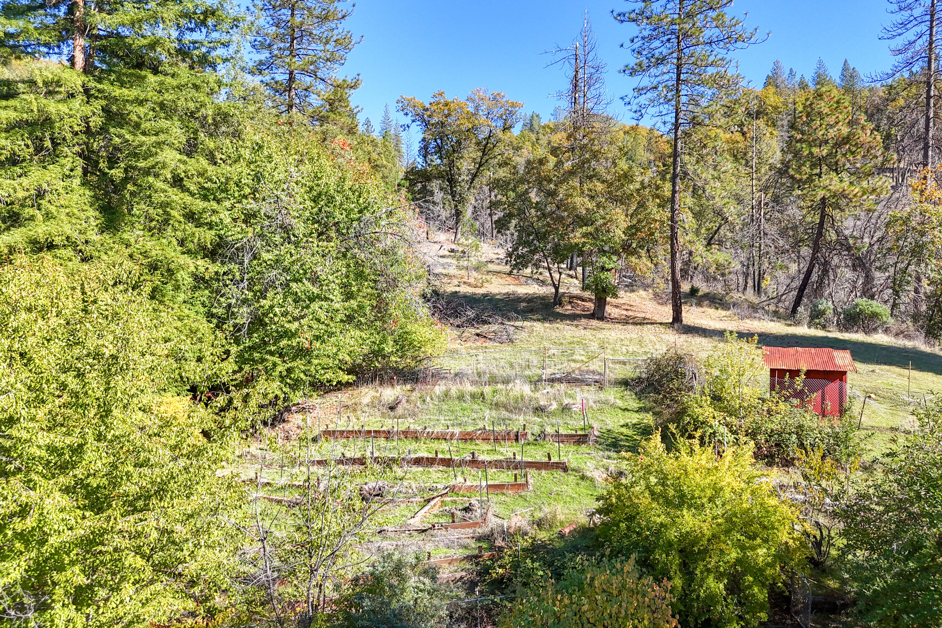 20389 Our Road Lakehead, CA 96051 - Photo 19 of 92 FENCED ORCHARD