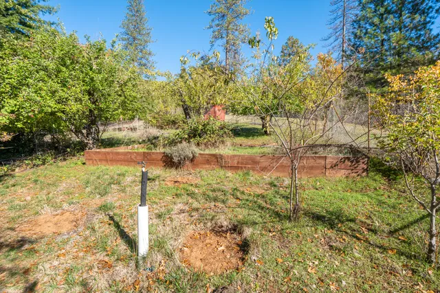a view of a yard in front of house