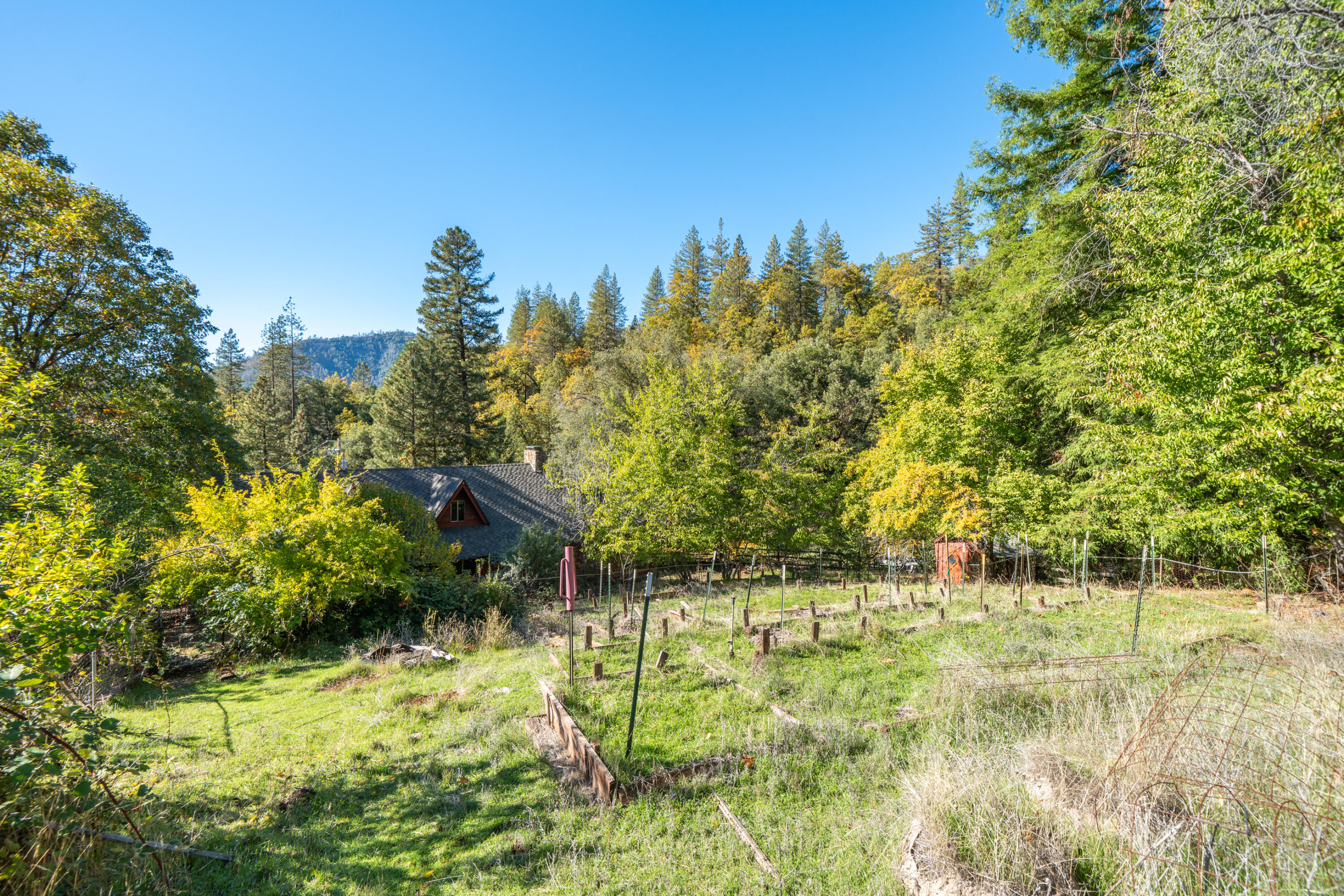 20389 Our Road Lakehead, CA 96051 - Photo 29 of 92 VIEW ABOVE GARDEN
