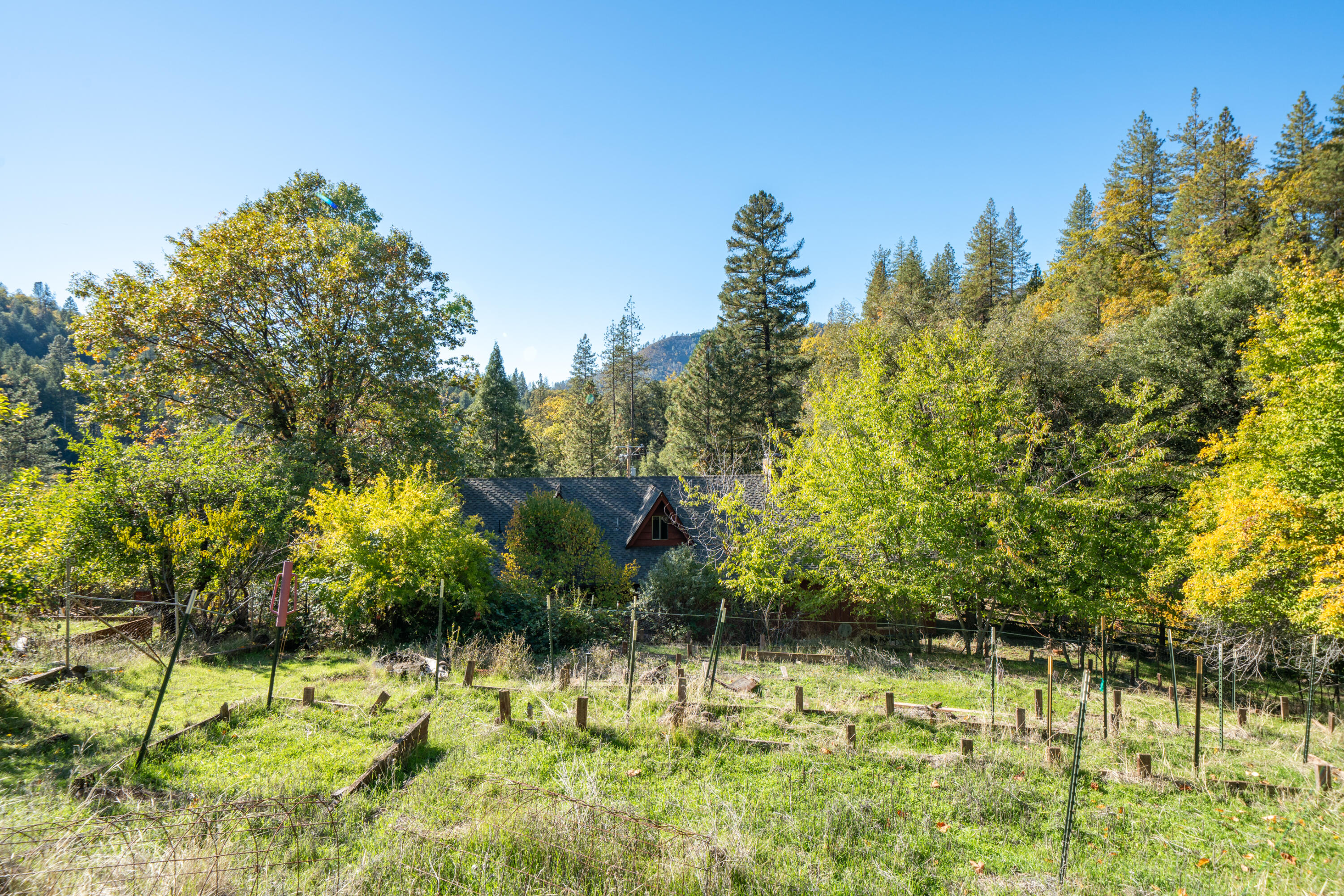 20389 Our Road Lakehead, CA 96051 - Photo 30 of 92 TOTAL SECLUSION