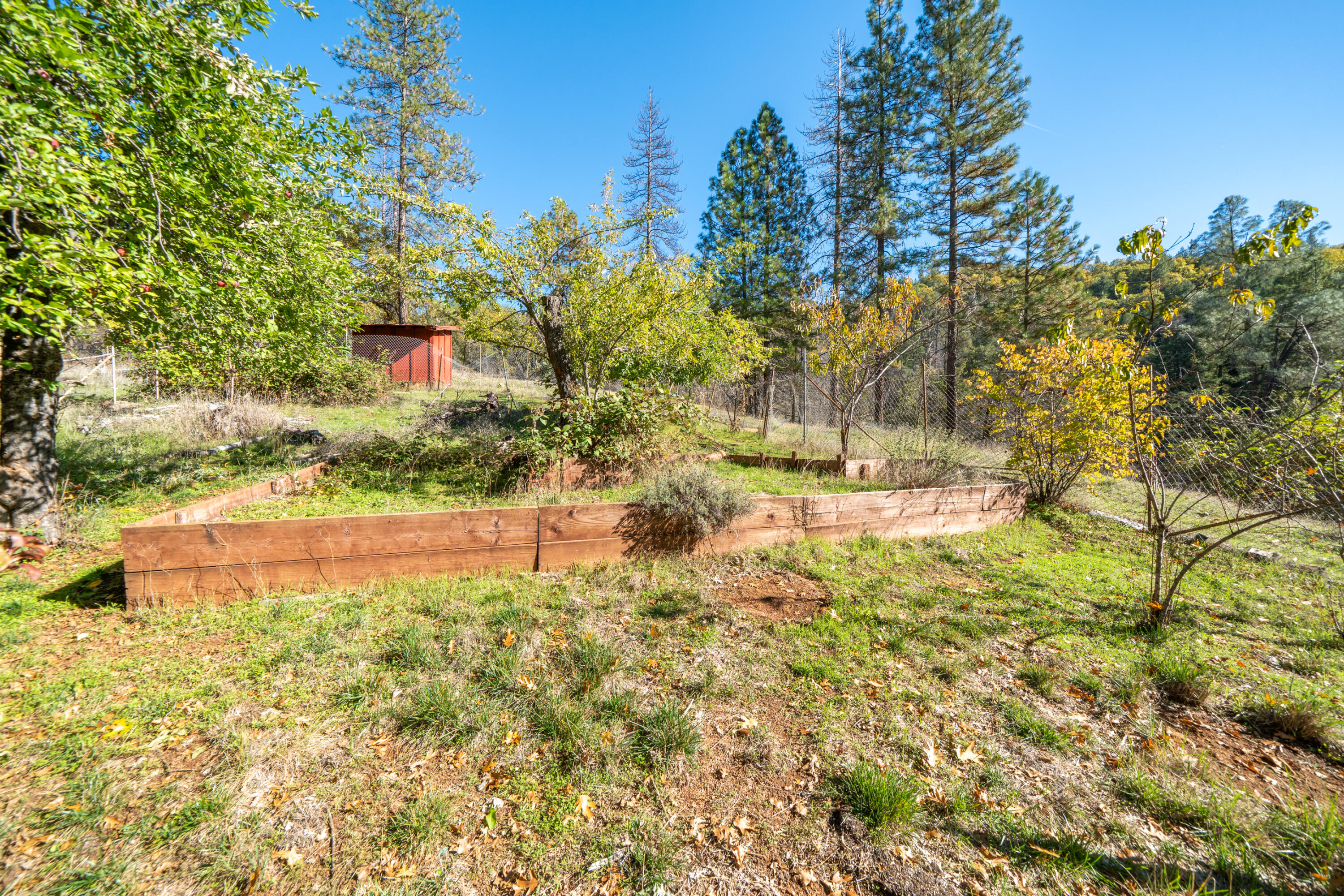 20389 Our Road Lakehead, CA 96051 - Photo 70 of 92 ORCHARD BEHIND HOME