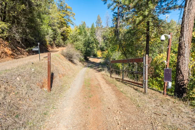 a view of a yard with large trees