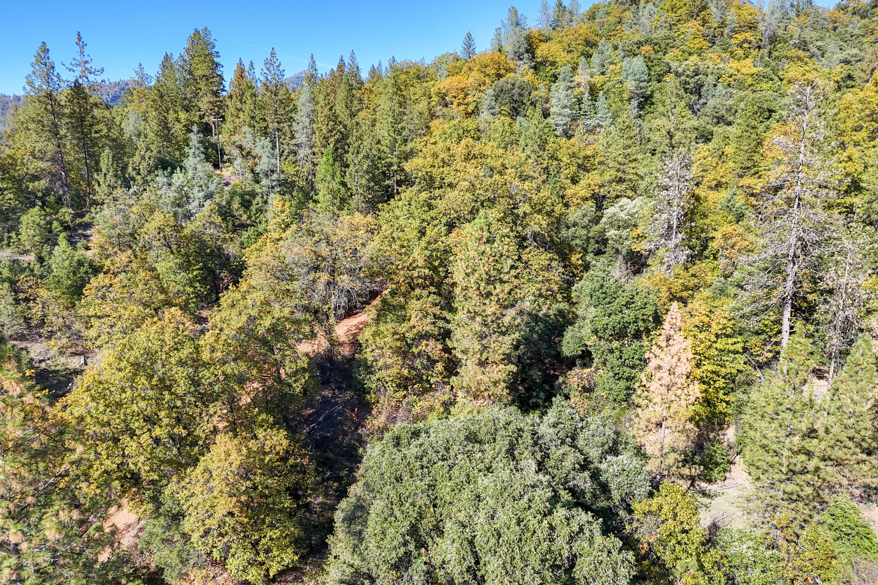 20389 Our Road Lakehead, CA 96051 - Photo 75 of 92 SEASONAL SPRING AND POND
