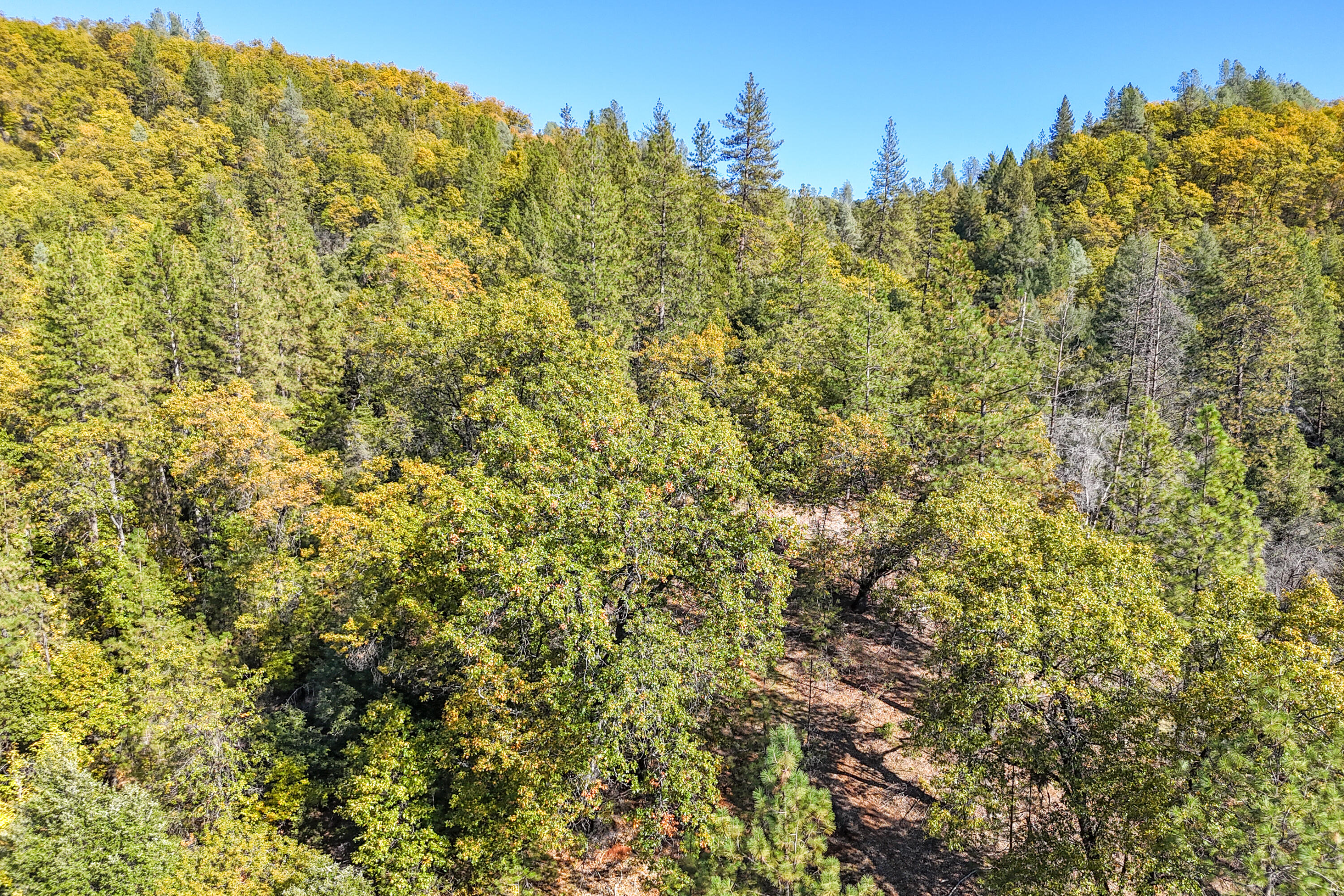 20389 Our Road Lakehead, CA 96051 - Photo 76 of 92 BACKS TO USFS LAND