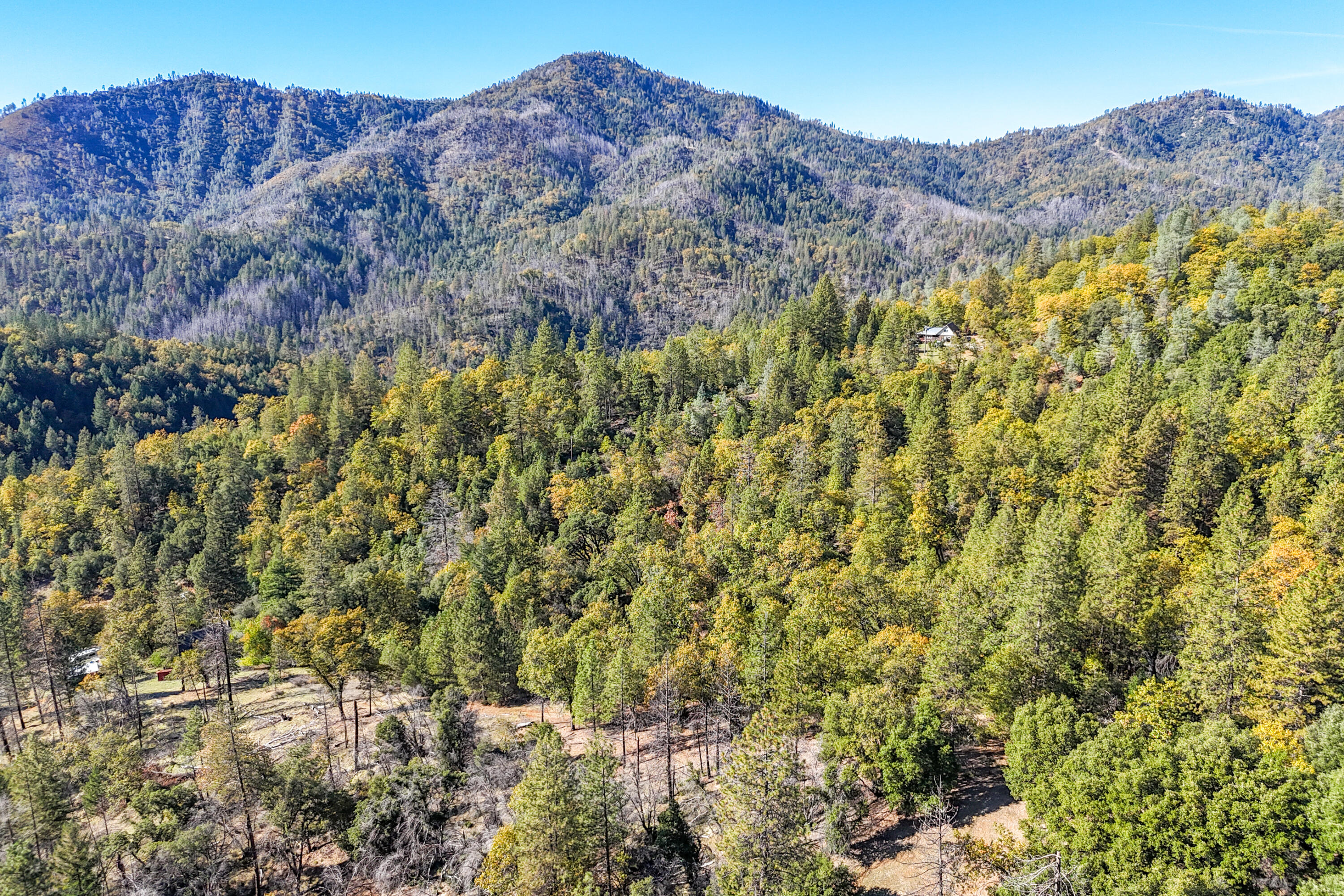 20389 Our Road Lakehead, CA 96051 - Photo 80 of 92 TIMBERLANDS