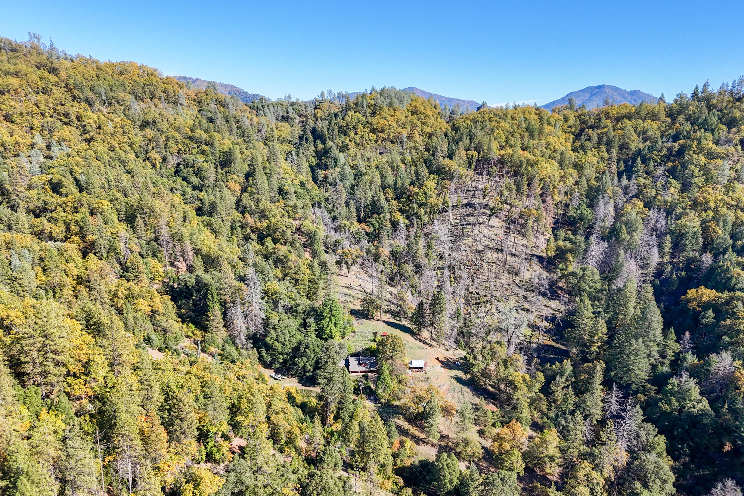 20389 Our Road Lakehead, CA 96051 - Photo 85 of 92 VIEW NE