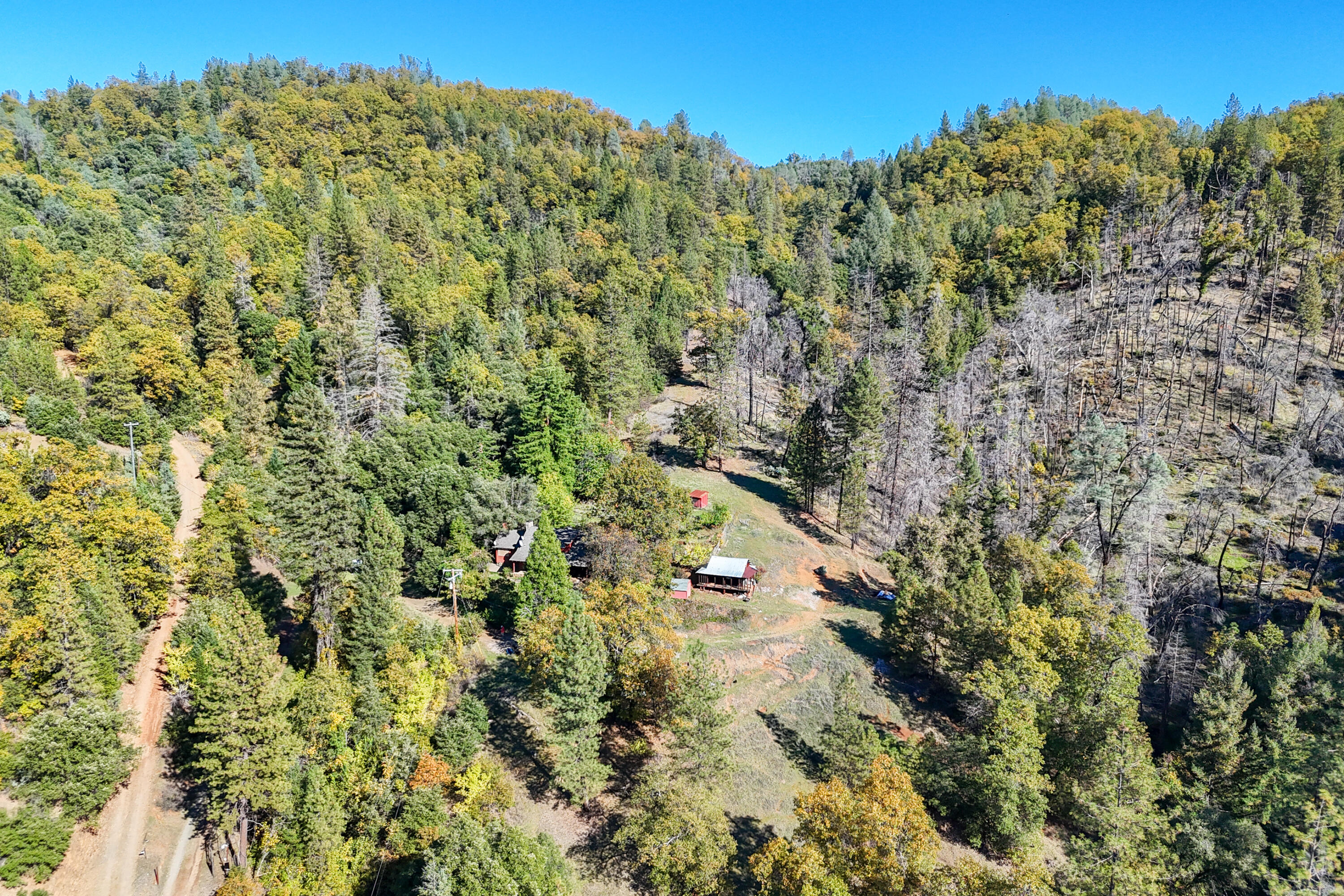 20389 Our Road Lakehead, CA 96051 - Photo 87 of 92 VIEW SE