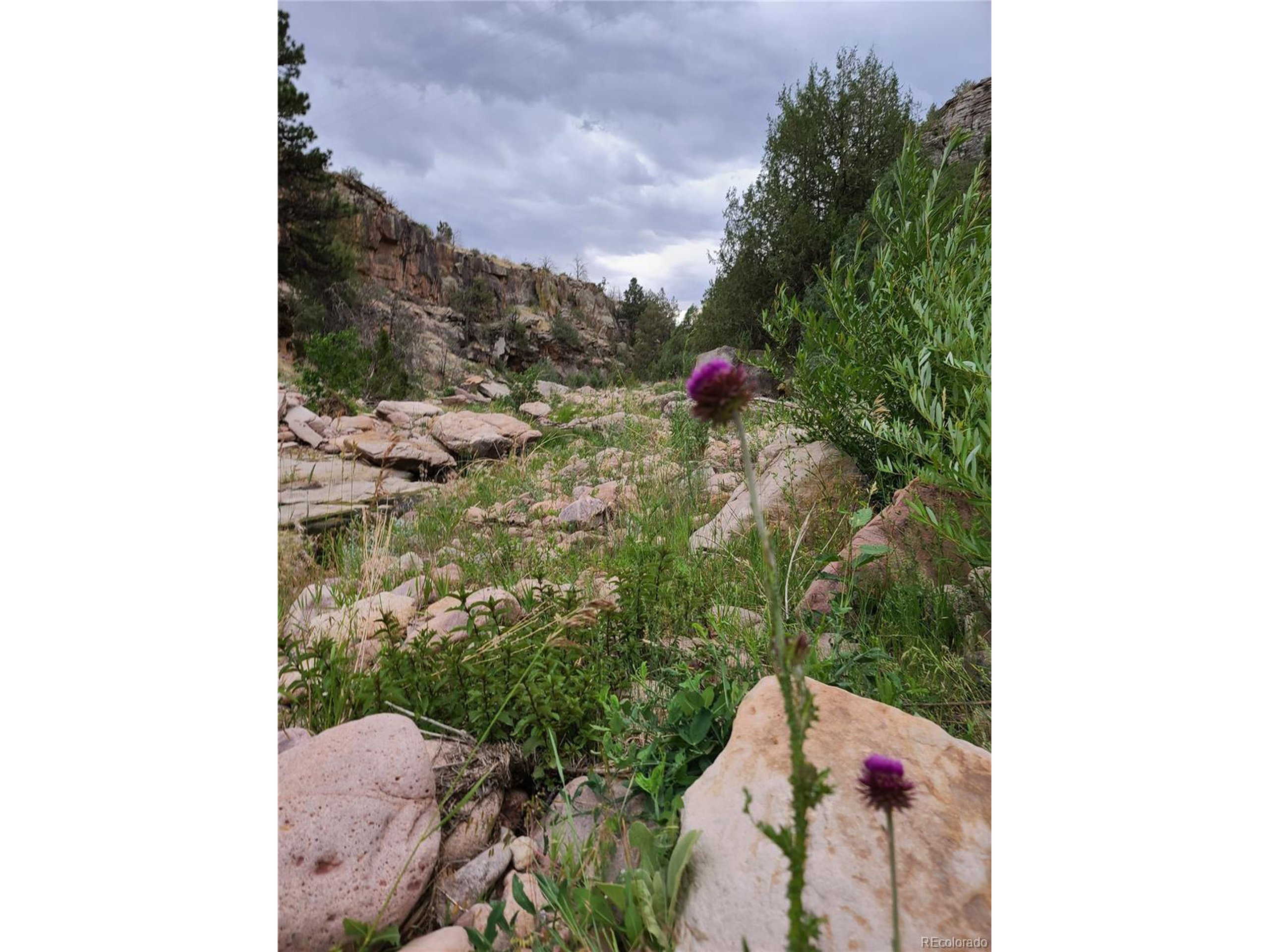 36 Hart Ranch Drive Beulah, CO 81023 - Photo 24 of 30