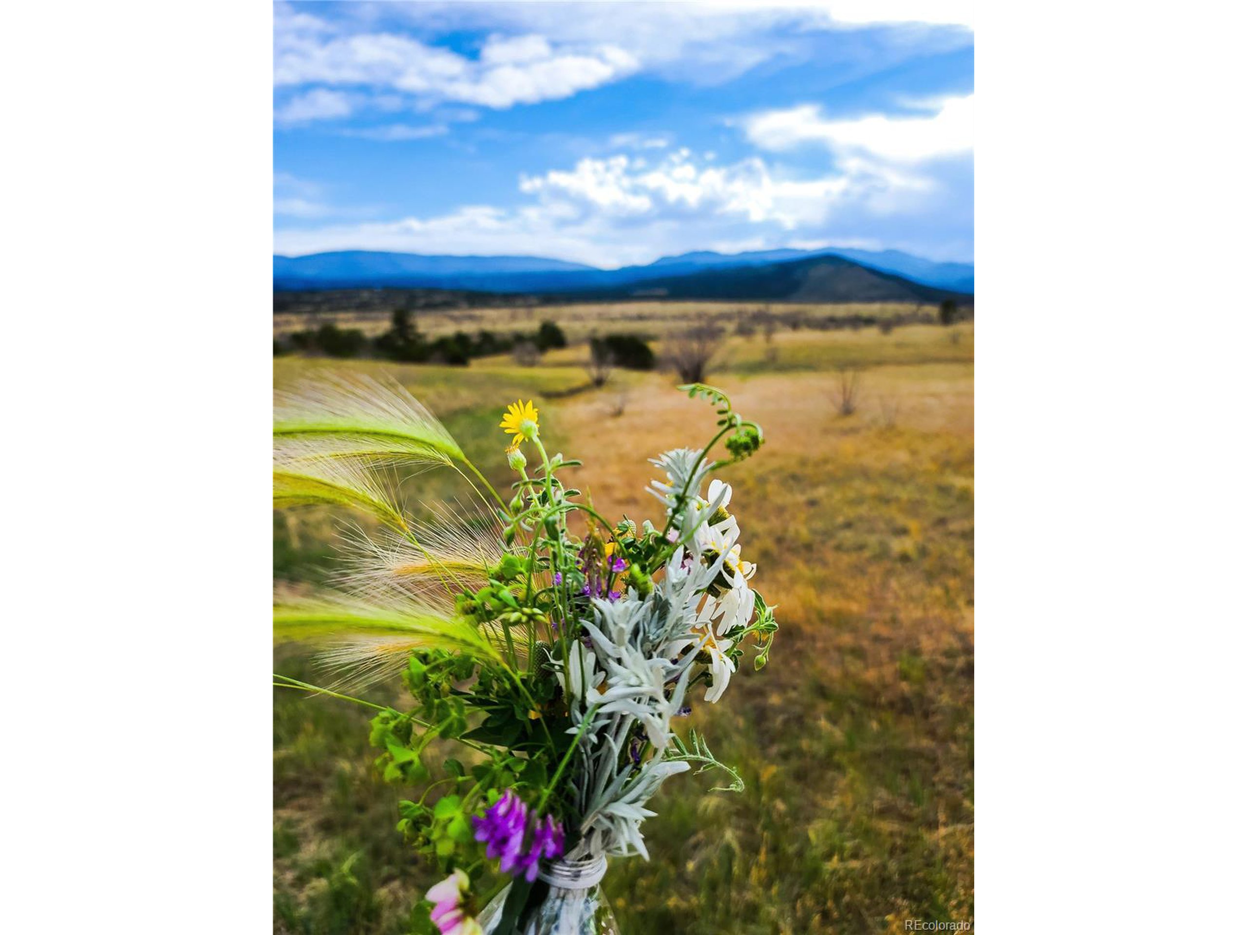 36 Hart Ranch Drive Beulah, CO 81023 - Photo 29 of 30