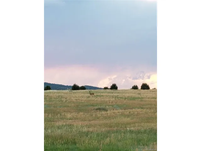 $49,000 | 36 Hart Ranch Drive, Beulah, CO 81023