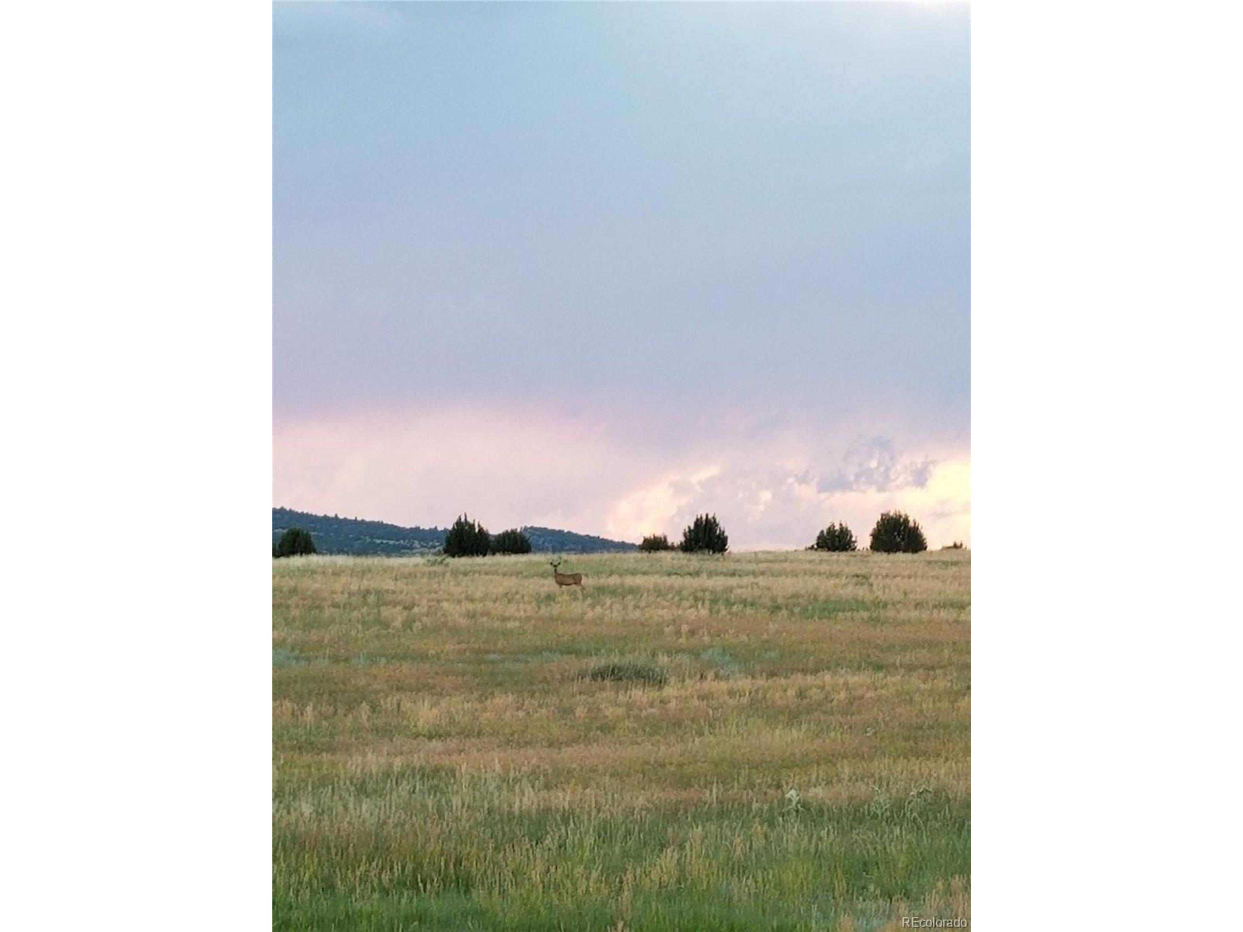 36 Hart Ranch Drive Beulah, CO 81023 - Photo 9 of 30