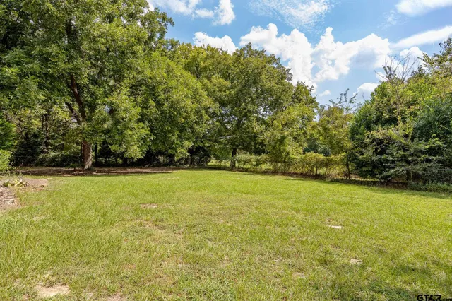a view of a yard with a trees