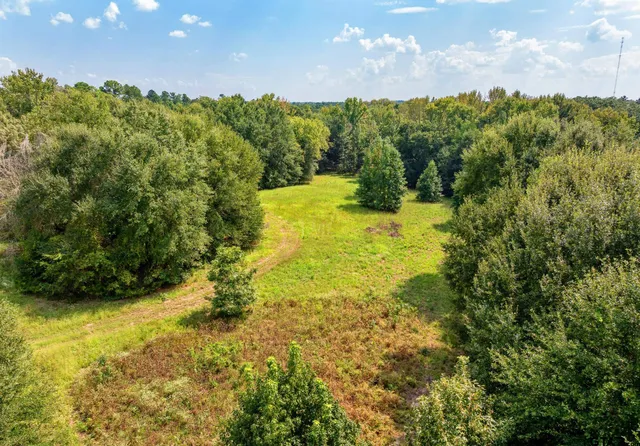 a view of a green yard