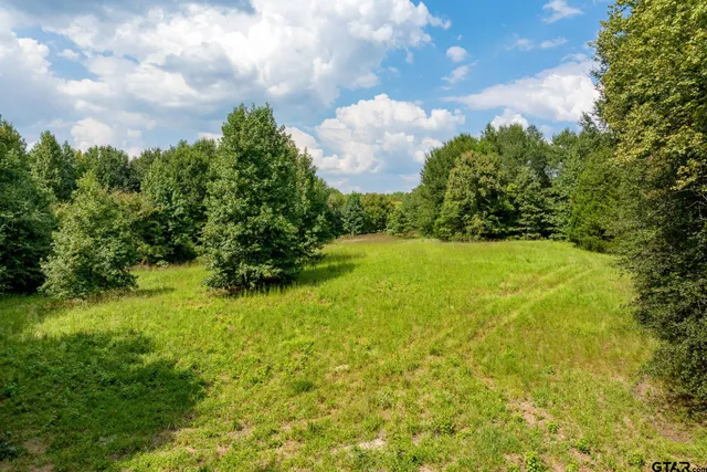 a view of a lake and a building