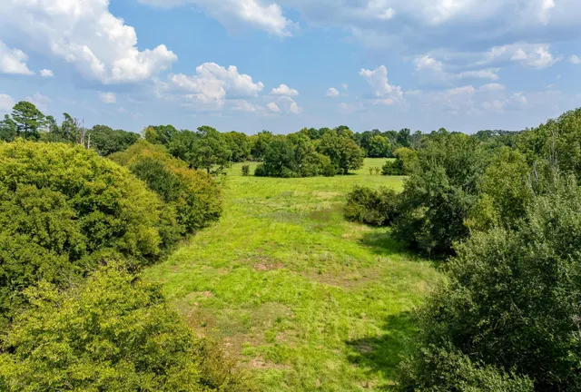 a view of a garden with a building in the background