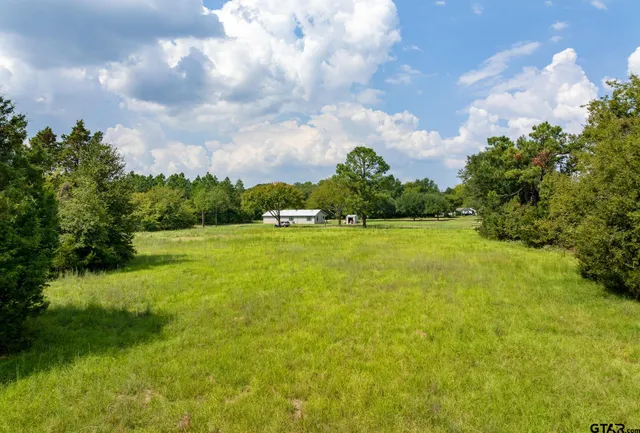 a view of a city with lush green forest